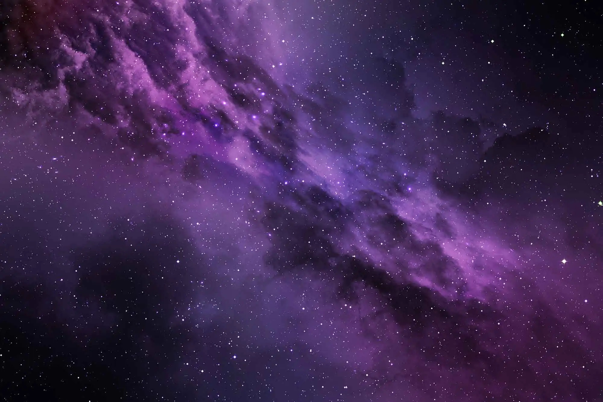 Cat Floating in Space